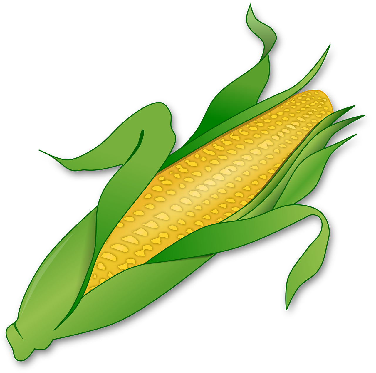 gusto image