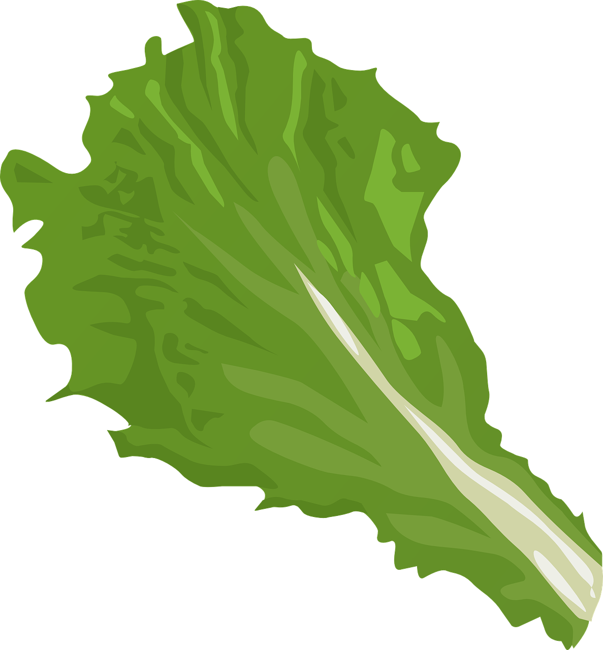 gusto image